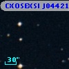 CXOSEXSI J044213.1+020437