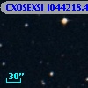 CXOSEXSI J044218.4+020227