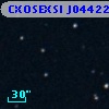 CXOSEXSI J044223.1+020219