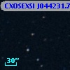 CXOSEXSI J044231.7+020508