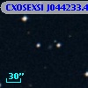 CXOSEXSI J044233.4+015817