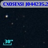 CXOSEXSI J044235.2+015624