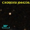 CXOSEXSI J044236.1+020325