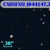 CXOSEXSI J044147.3+020348