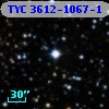 TYC 3612-1067-1