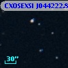 CXOSEXSI J044222.8+020808