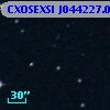CXOSEXSI J044227.0+020309