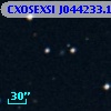 CXOSEXSI J044233.1+015807