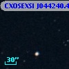 CXOSEXSI J044240.4+015310