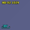 BD-02  1029
