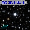 TYC 3613-91-1