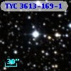 TYC 3613-169-1