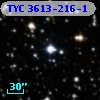 TYC 3613-216-1