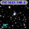 TYC 3613-240-1