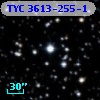 TYC 3613-255-1