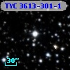 TYC 3613-301-1