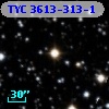 TYC 3613-313-1