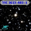 TYC 3613-803-1