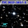 TYC 3613-1017-1