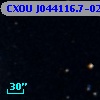 CXOU J044116.7-025030