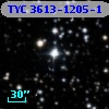 TYC 3613-1205-1