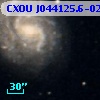 CXOU J044125.6-025202
