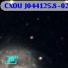 CXOU J044125.8-024930