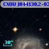 CXOU J044130.2-024922