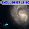 CXOU J044131.6-025123
