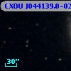 CXOU J044139.0-025119