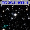 TYC 3613-1666-1