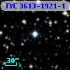 TYC 3613-1921-1
