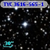 TYC 3616-565-1