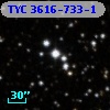 TYC 3616-733-1