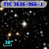 TYC 3616-966-1