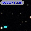 NOGG P1  238