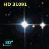 HD  31091