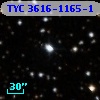 TYC 3616-1165-1