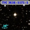 TYC 3616-1175-1