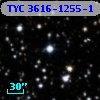 TYC 3616-1255-1