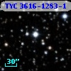 TYC 3616-1283-1