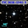 TYC 3616-1341-1