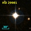 HD  29981