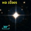 HD  31005