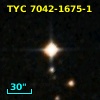 TYC 7042-1675-1