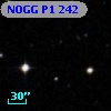 NOGG P1  242