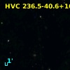 HVC 236.5-40.6+160