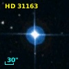HD  31163