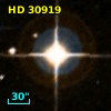 HD  30919