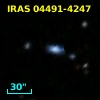IRAS 04491-4247